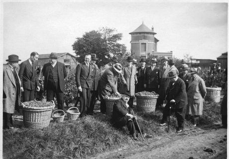 Curnonsky Besuch bei Weinbruderschaft Burgund